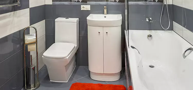 Hansgrohe Shaving Mirror Spanaway